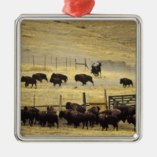 Nationale Bison Range Roundup in Montana Metalen Ornament