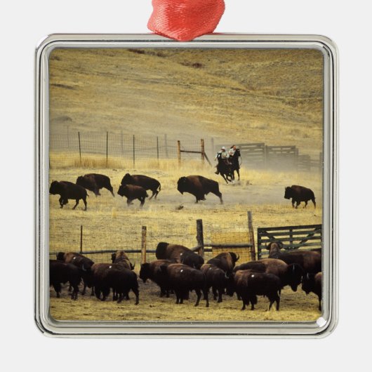 Nationale Bison Range Roundup in Montana Metalen Ornament (Voorkant)