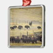Nationale Bison Range Roundup in Montana Metalen Ornament (Links)