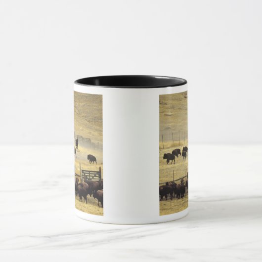 Nationale Bison Range Roundup in Montana Mok (Midden)