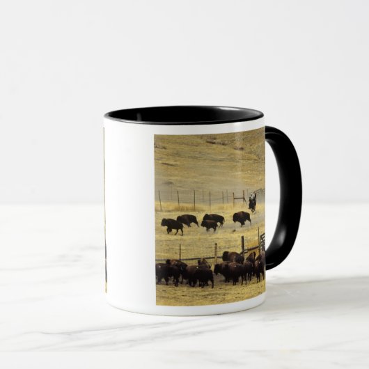 Nationale Bison Range Roundup in Montana Mok (Voorkant rechts)