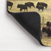 Nationale Bison Range Roundup in Montana Muismat (Hoek)