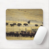 Nationale Bison Range Roundup in Montana Muismat (Met muis)