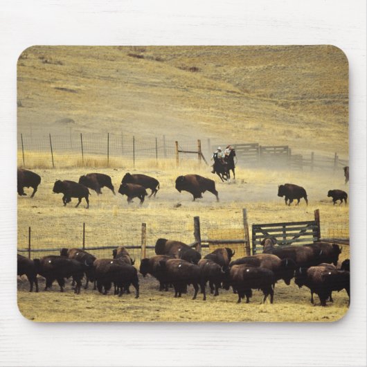 Nationale Bison Range Roundup in Montana Muismat (Voorkant)