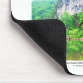 Nationale bufferrivier I - Lentevloei 2008 Muismat (Hoek)