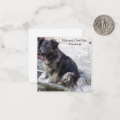 Nationale dag van de hond notitiekaartje (Voorkant / Achterkant in situ)