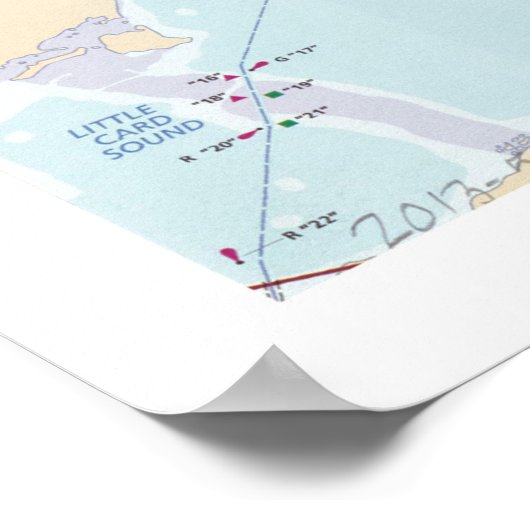 Nationale kaart van Biscayne (2011) Poster (Hoek)