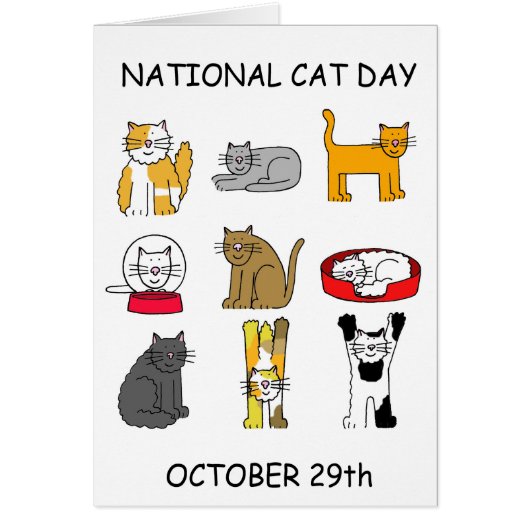 Nationale kat Dag 29 oktober (Voorkant)