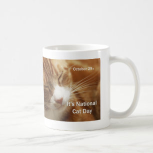 Nationale kat Dag Mok 29 oktober