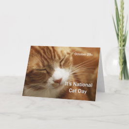 Nationale kattendag 29 oktober kaart