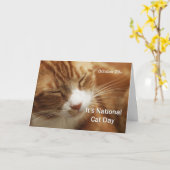 Nationale kattendag 29 oktober kaart (Gele Bloem)