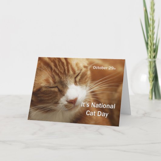 Nationale kattendag 29 oktober kaart (Voorkant)