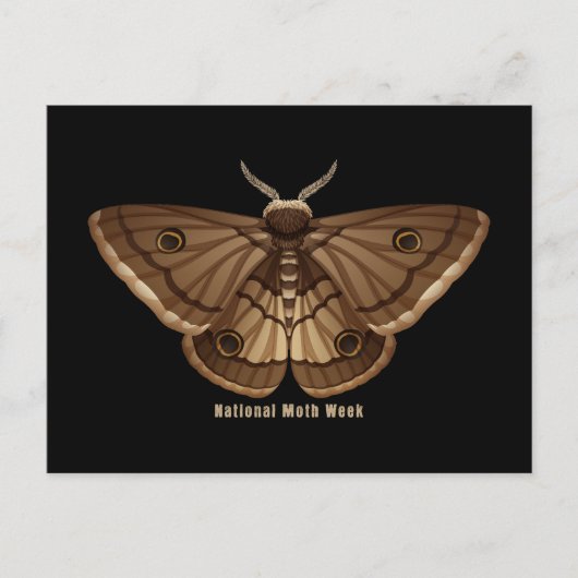 Nationale moteweek briefkaart (Voorkant)