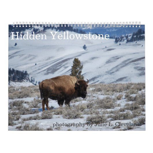 Nationale Park Hidden Yellowstone Agenda Kalender (Hoes)