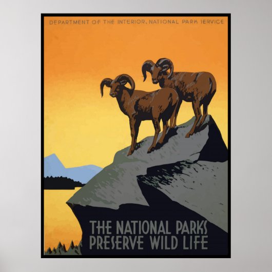 Nationale parken behouden in het wild leven poster (Voorkant)