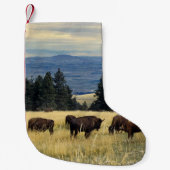 Nationale parken Bison Herd Kleine Kerstsok (Voorkant)