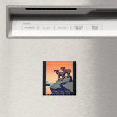 Nationale parken magneet (Insitu (Vaatwasser))