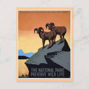 Nationale parken met WPA-reisposter Briefkaart