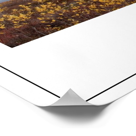 Nationale parken poster (Hoek)