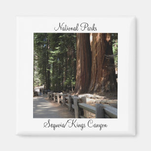 Nationale parken - Sequoia/Kings Canyon Magnet
