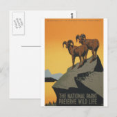 Nationale parken - Wilde Leven behouden Briefkaart (Voorkant / Achterkant)