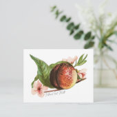 Nationale Pertsmaand Briefkaart (Staand voorkant)