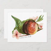 Nationale Pertsmaand Briefkaart (Voorkant / Achterkant)