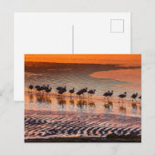 Nationale reserve voor de Andesfauna in Eduardo Ab Briefkaart (Voorkant / Achterkant)