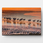 Nationale reserve voor de Andesfauna in Eduardo Ab Fotoplaat (voorkant)