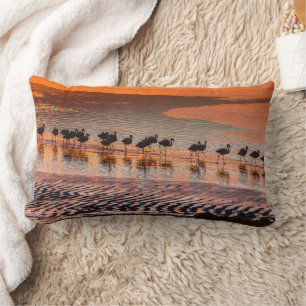 Nationale reserve voor de Andesfauna in Eduardo Ab Kussen