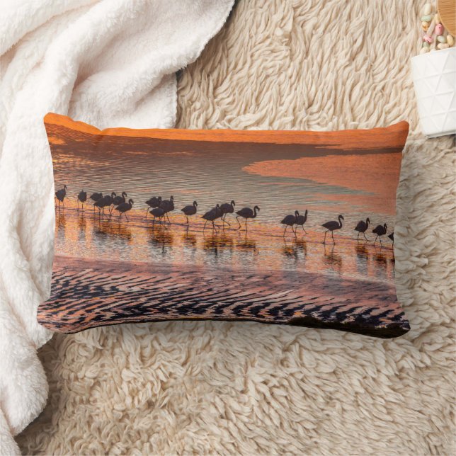 Nationale reserve voor de Andesfauna in Eduardo Ab Kussen (Deken)