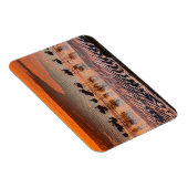 Nationale reserve voor de Andesfauna in Eduardo Ab Magneet (Rechterzijde)