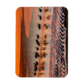 Nationale reserve voor de Andesfauna in Eduardo Ab Magneet (Verticaal)