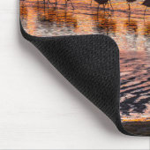 Nationale reserve voor de Andesfauna in Eduardo Ab Muismat (Hoek)