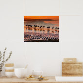 Nationale reserve voor de Andesfauna in Eduardo Ab Poster (Keuken)