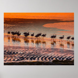 Nationale reserve voor de Andesfauna in Eduardo Ab Poster