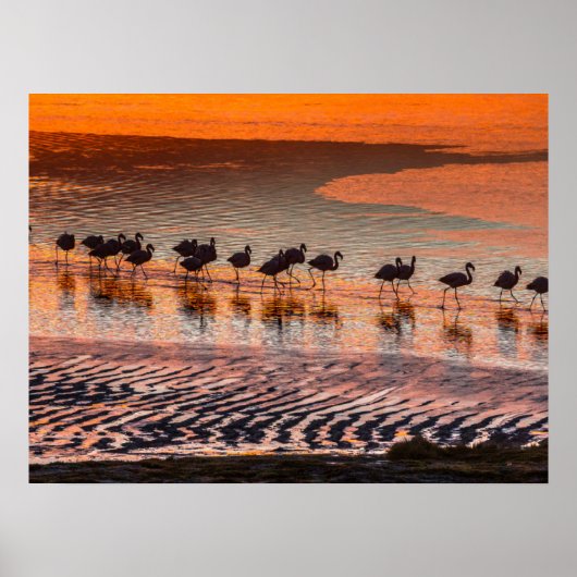 Nationale reserve voor de Andesfauna in Eduardo Ab Poster (Voorkant)