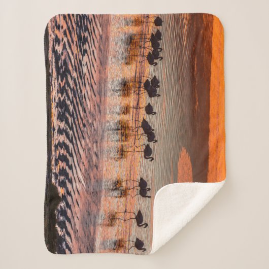 Nationale reserve voor de Andesfauna in Eduardo Ab Sherpa Deken (Voorkant)