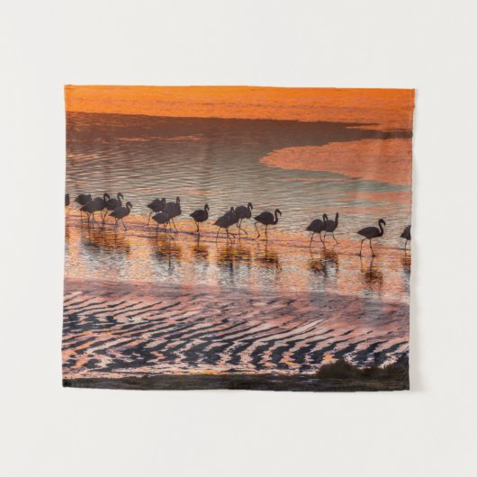 Nationale reserve voor de Andesfauna in Eduardo Ab Wandkleed (Voorkant (horizontaal))