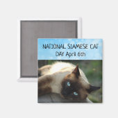 Nationale Siamese kat Dag 6 april Magnet (Voorkant / Achterkant)
