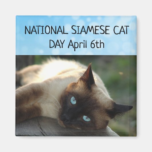 Nationale Siamese kat Dag 6 april Magnet (Voorkant)