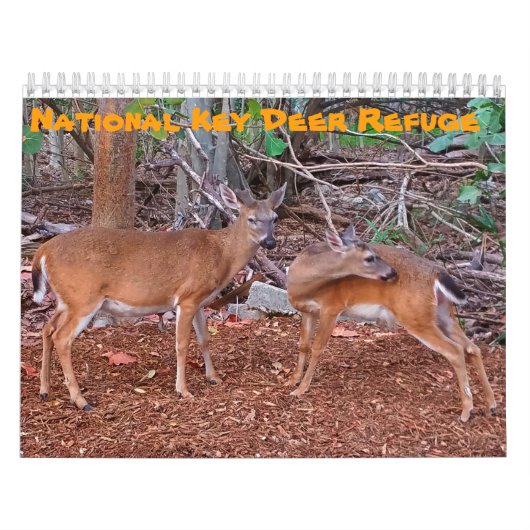 Nationale Sleutelfiguur van het Deer Refuge-rooste Kalender (Hoes)