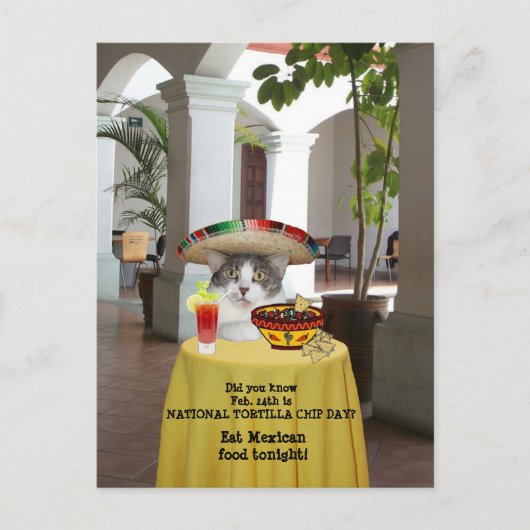 Nationale Tortilla Chip Day Funny Cat Briefkaart (Voorkant)