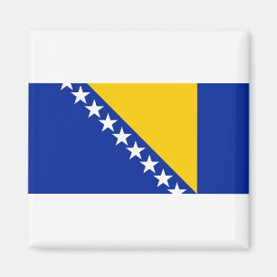Nationale vlag van Bosnië en Herzegovina Magneet