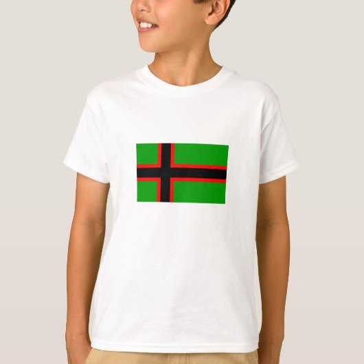 Nationale vlag van Karelië T-shirt (Voorkant)