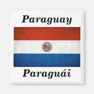 Nationale vlag van Paraguay Magneet