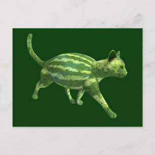 Nationale Watermeloen Dag Meloenen Kat Briefkaart