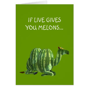 Nationale watermeloendag