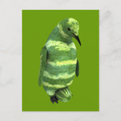 Nationale watermeloendag Penguin Briefkaart (Voorkant)