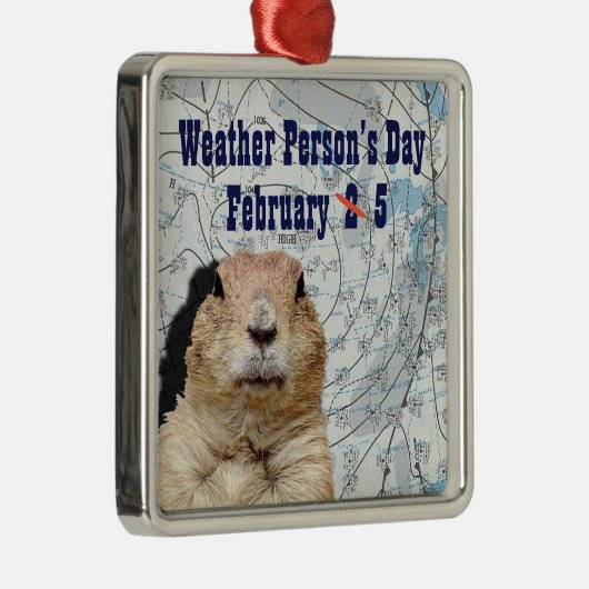 Nationale Weer Dag 5 Februari Metalen Ornament (Rechts)